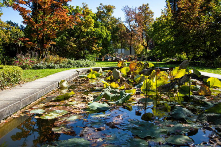Botanischer Garten. Foto: Eva Maria Ginal