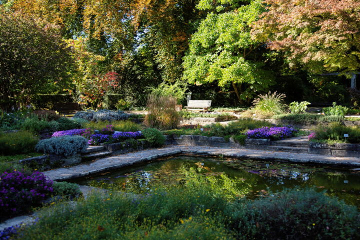 Botanischer Garten. Foto: Eva Maria Ginal