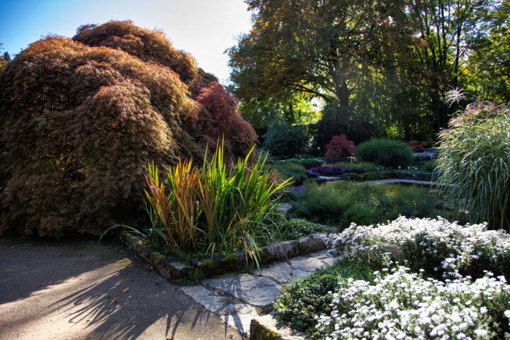 Botanischer Garten. Foto: Eva Maria Ginal