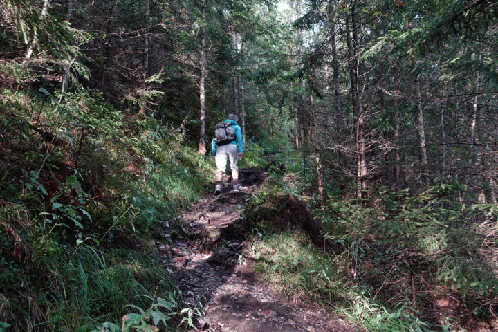 Steiles Waldgelände 1. Foto: Gerold Petritsch
