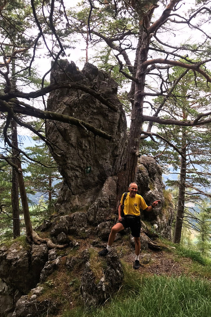 Steiles Waldgelände 2. Foto: Gerold Petritsch