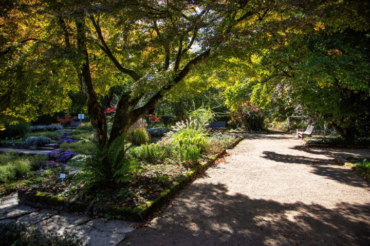 Botanischer Garten. Foto: Eva Maria Ginal