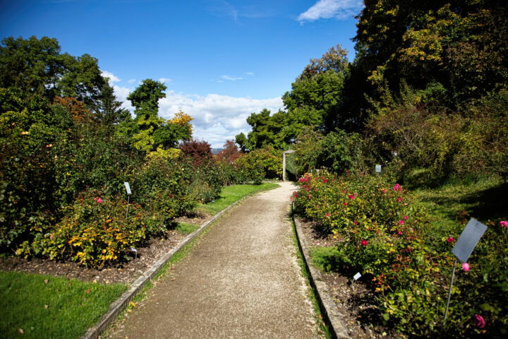 Botanischer Garten. Foto: Eva Maria Ginal