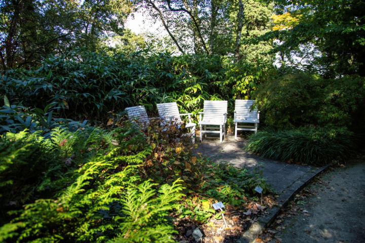 Botanischer Garten. Foto: Eva Maria Ginal