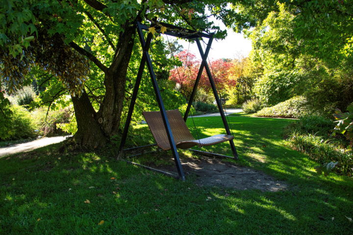 Botanischer Garten. Foto: Eva Maria Ginal