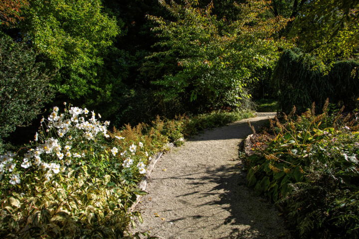 Botanischer Garten. Foto: Eva Maria Ginal