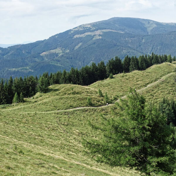 Hochalmweg 2. Foto: Gerold Petritsch