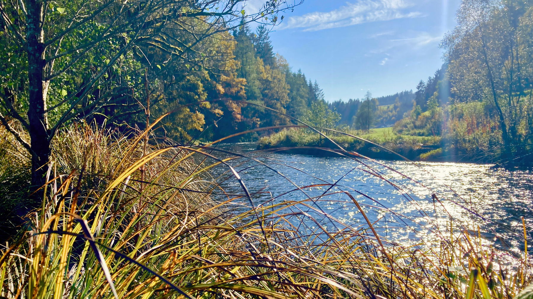 Der Michlweg zwischen Haslach und Bahnstation Haslach. Foto: Stefan Hochhold