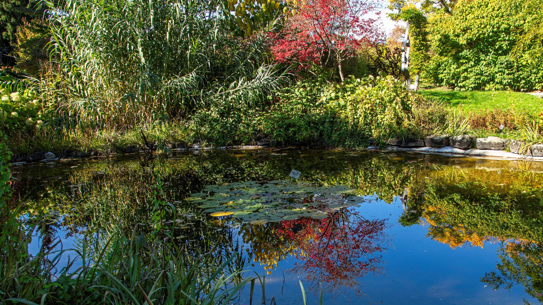 Botanischer Garten. Foto: Eva Maria Ginal