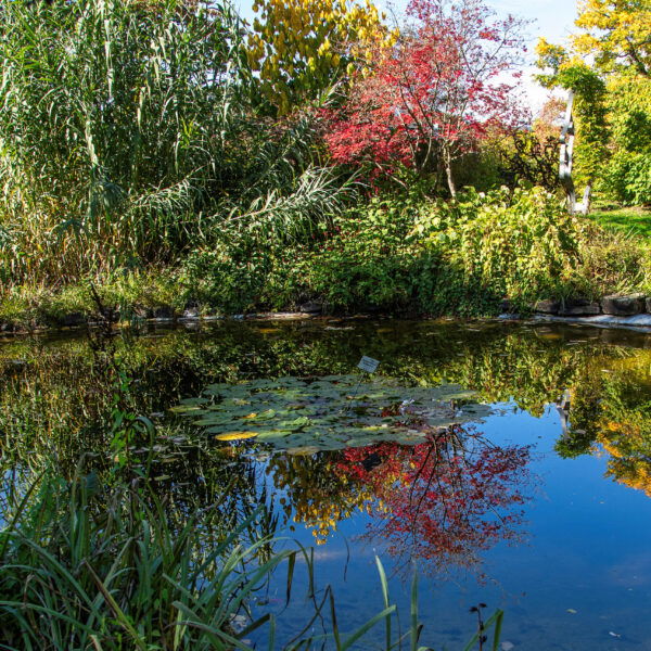 Botanischer Garten. Foto: Eva Maria Ginal