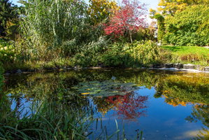 Botanischer Garten. Foto: Eva Maria Ginal