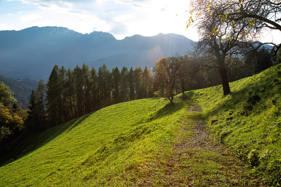 Feldweg K92/19. Foto: Eva Maria Ginal