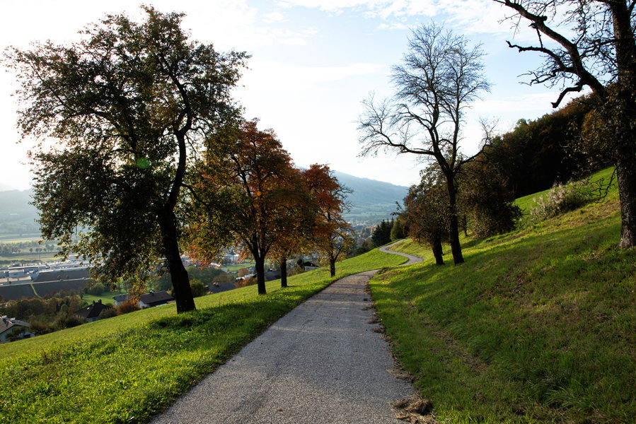 Güterweg nahe Kirchdorf Weg K92/19. Foto: Eva Maria Ginal
