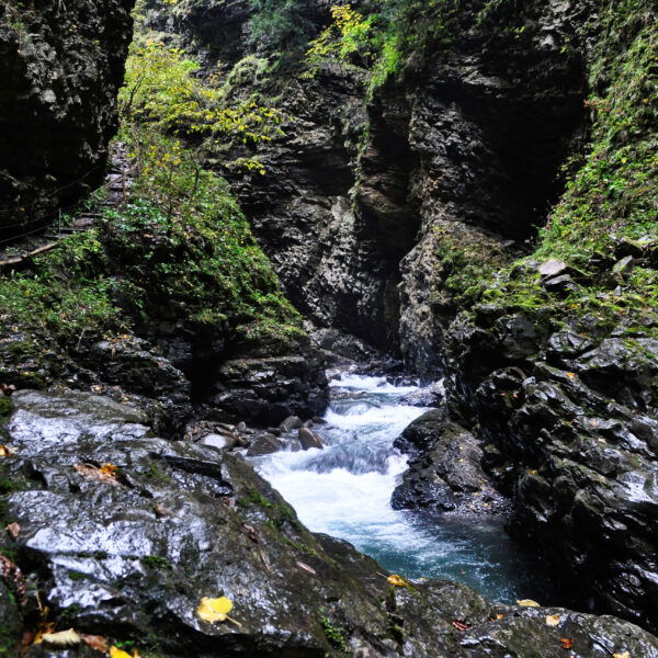 Der Frutzbach rauscht durch das Laternsertal und hat dabei die Üble Schlucht geschaffen. Foto: Norman und Lisa