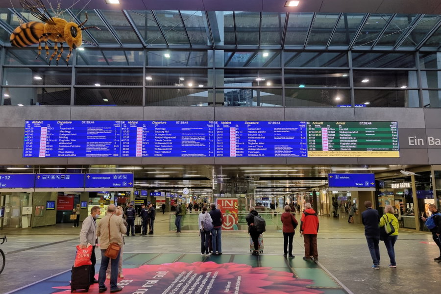 Wiener Hauptbahnhof. Hier starte ich mit der ersten Wildtiersichtung in einen schönen Tag: Mit einer Biene. Foto: Martin Heppner
