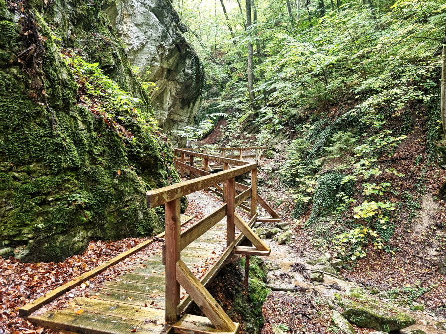 Zustieg am Wasserfallweg Dürnbach. Foto: Martin Heppner