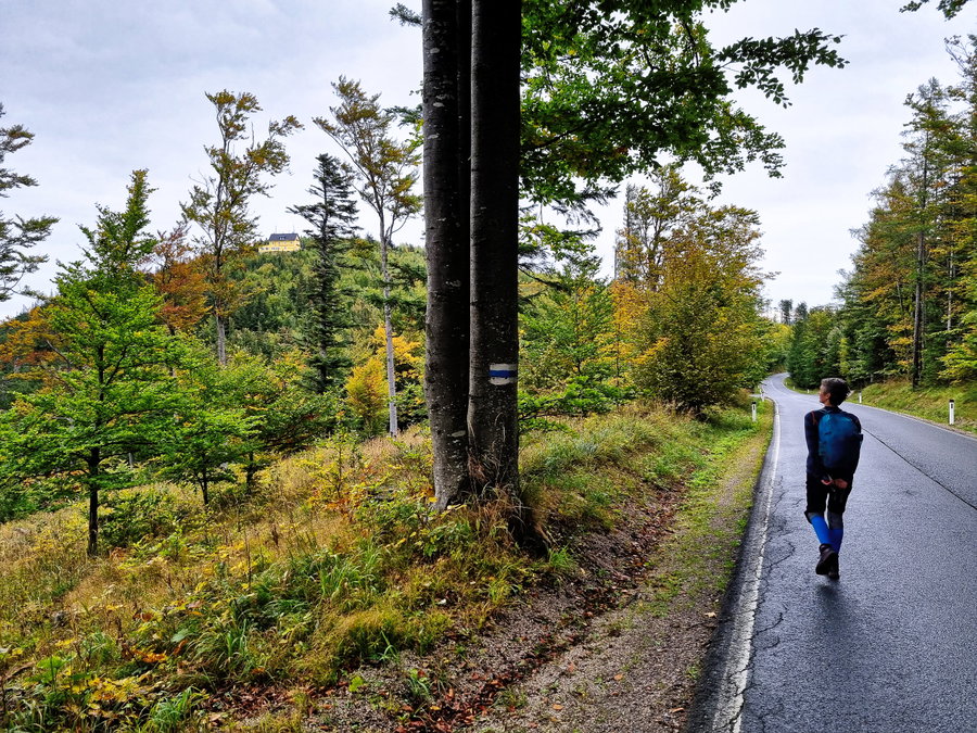 Am Weg zum Waldeggerhaus (links am Hügel). Foto: Martin Heppner