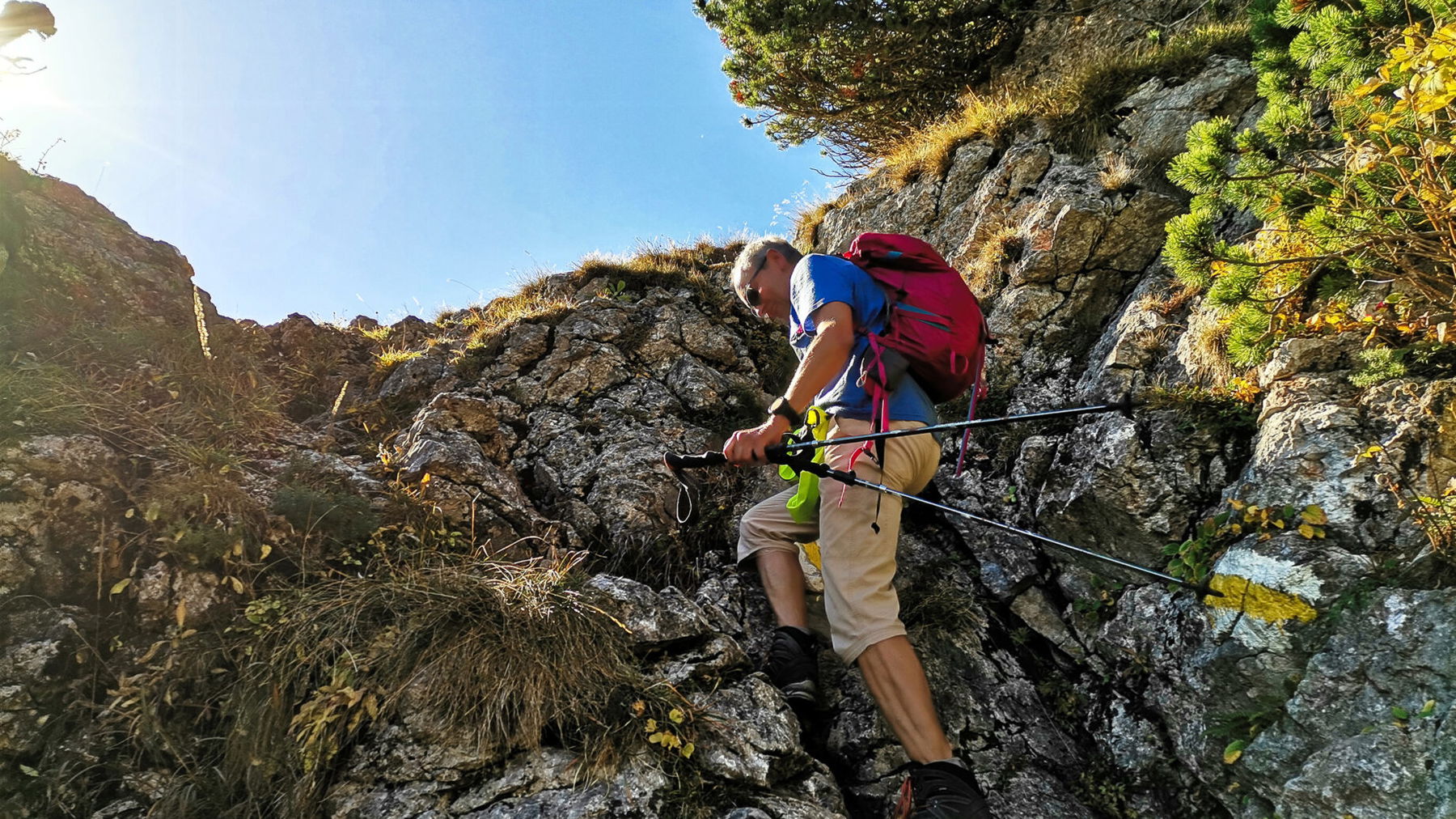 Foto: Veronika Schöll