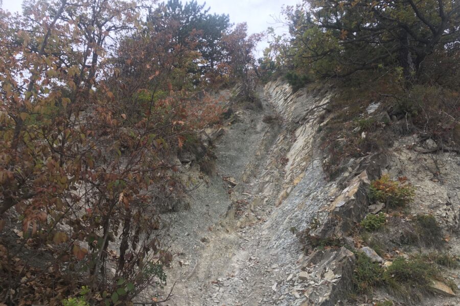 Die Rinne am Leopoldsberg. Foto Veronika Schöll
