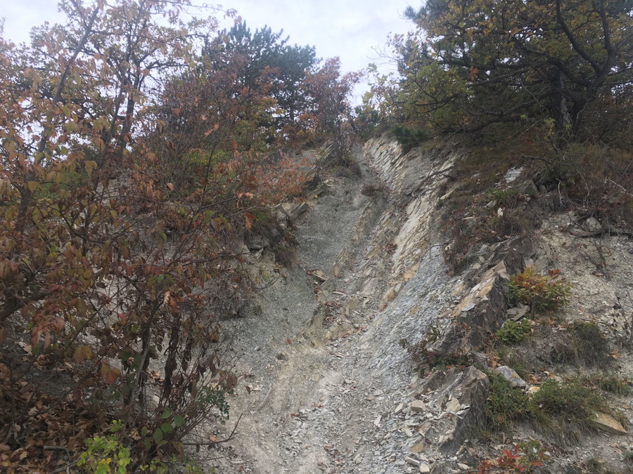 Die Rinne am Leopoldsberg. Foto Veronika Schöll