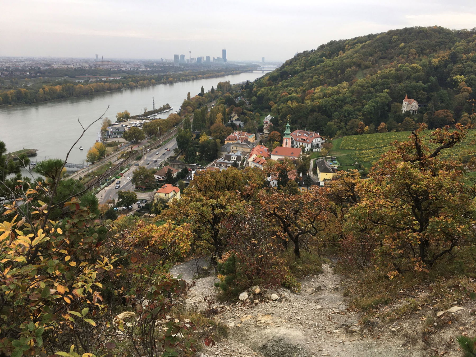 Wienerwald, immer der Nase nach
