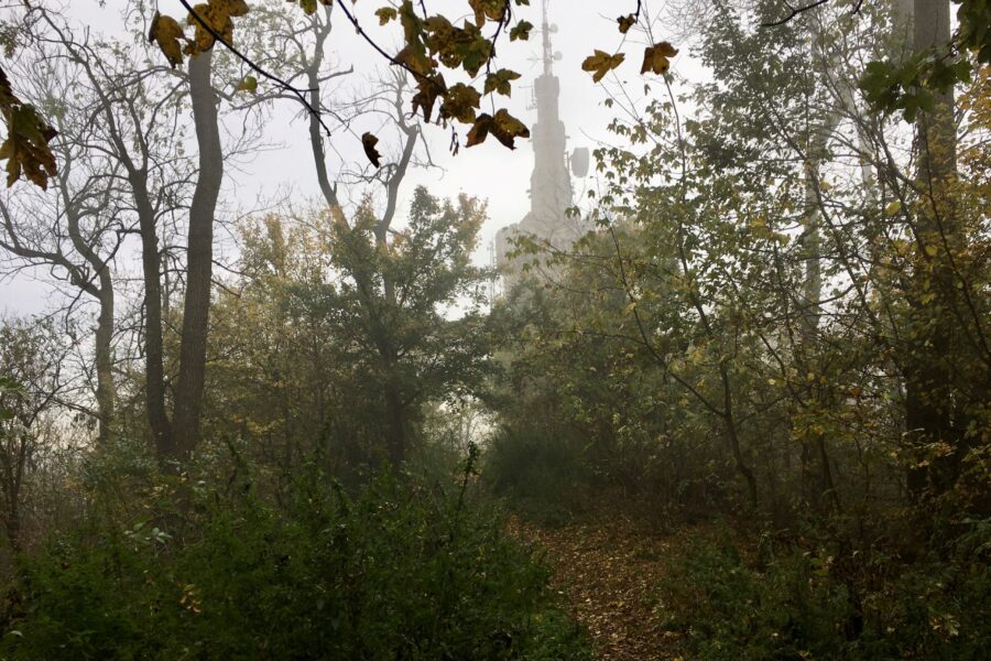 Die Habsburgwarte versteckt sich im Nebel. Foto Veronika Schöll