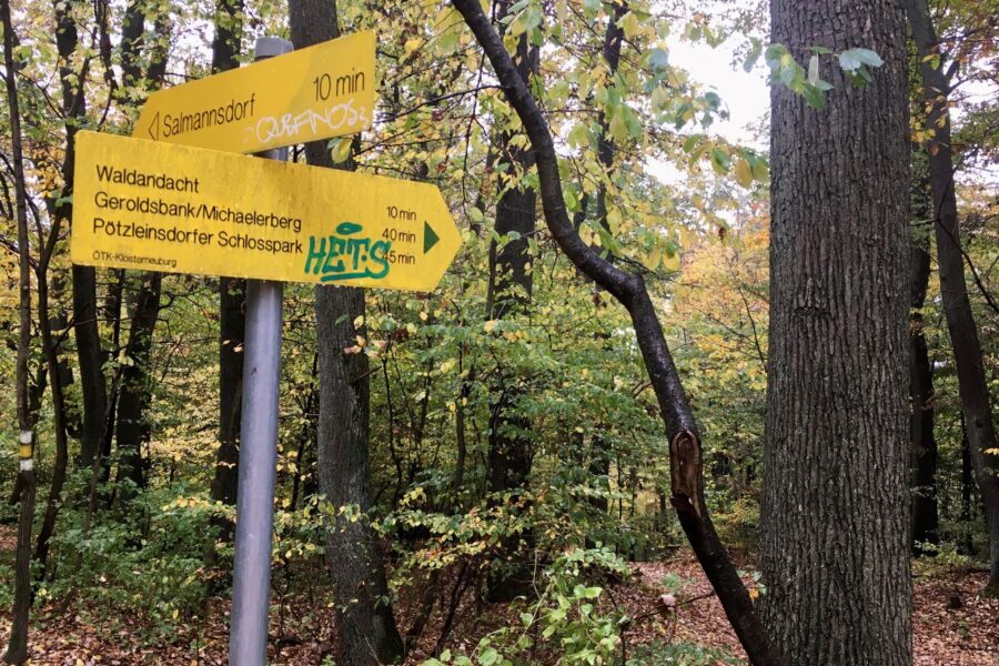 Ein bisschen bleib ich noch im Wald. Foto Veronika Schöll