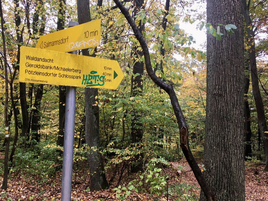 Ein bisschen bleib ich noch im Wald. Foto Veronika Schöll