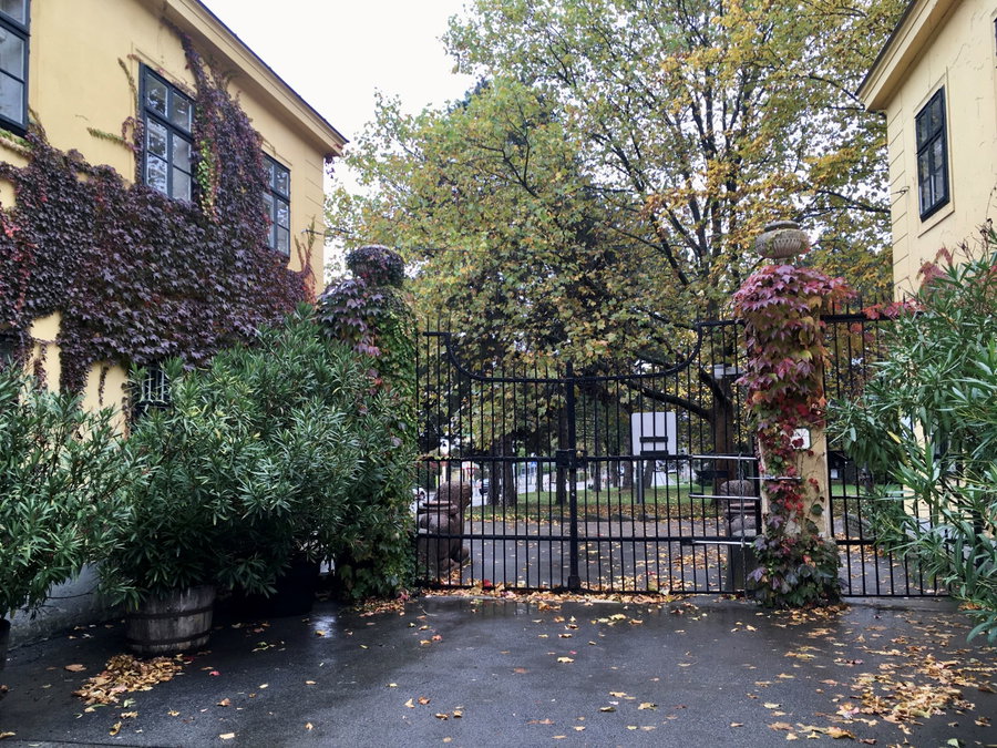 Pötzleinsdorfer Schlosspark. Foto Veronika Schöll