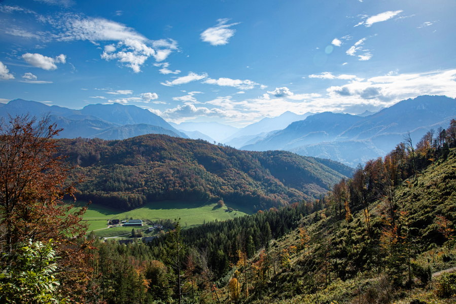 Lichtung Prälatensteig mit herrlichem Ausblick. Foto: Eva Maria Ginal