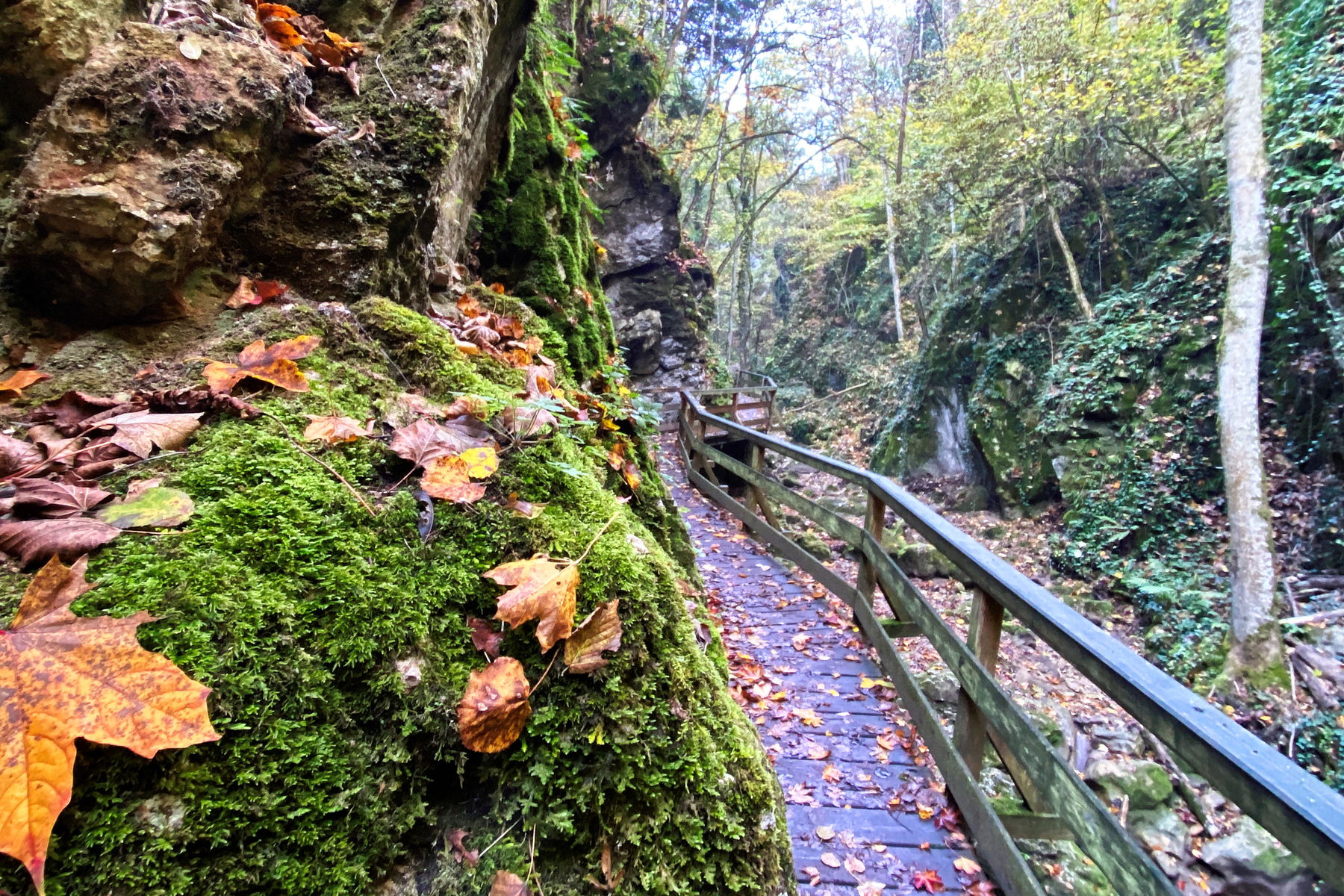 Johannesbachklamm Runde
