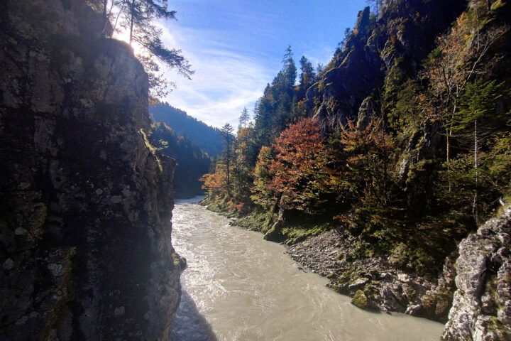 Am Rundweg über die Hängebrücken 2. Foto: Nikolaus Vogl