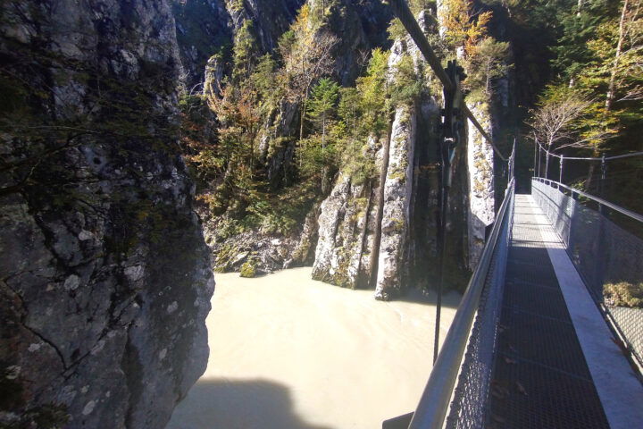 Am Rundweg über die Hängebrücken 1. Foto: Nikolaus Vogl