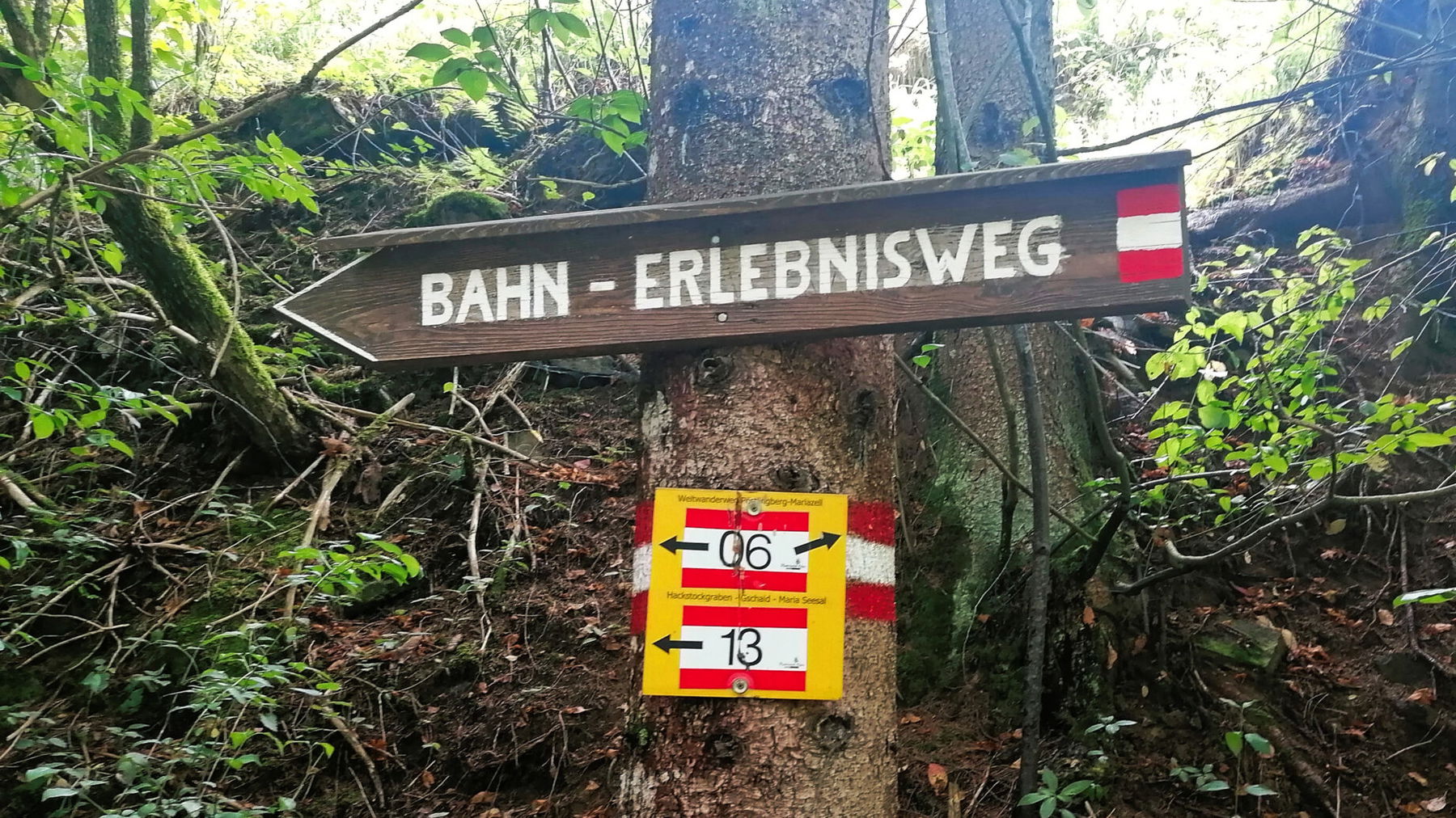 Lunzer Bahn-Erlebnisweg. Foto: Sarah Pallauf