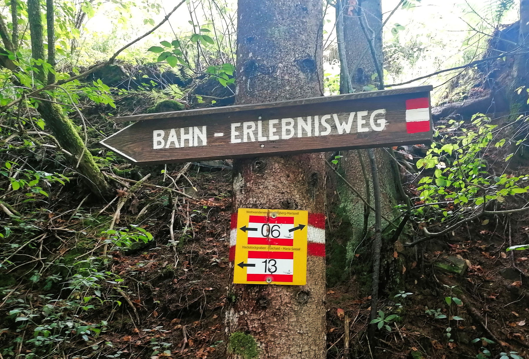Die kleine Schwester: Am Bahn-Erlebnisweg in Lunz am See