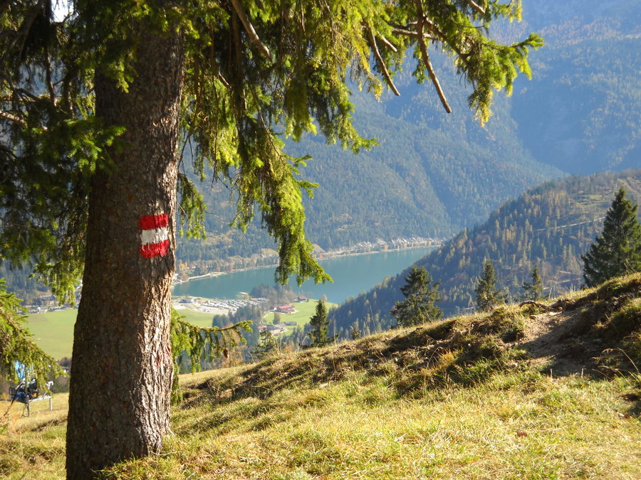 Gemütlicher Abstieg mit Ausblick auf den Achensee, Foto Naturpark Karwendel