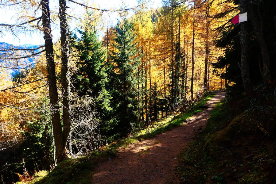 Der Reichtum des Bettlersteigs 3. Foto: Karl Plohovich