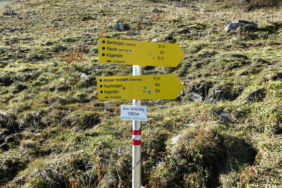 Abzweigung. Foto: Karl Plohovich