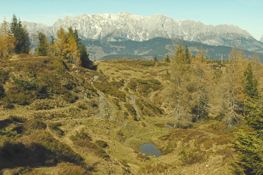 Rastplatz in Sicht – Hochkönig. Foto: Karl Plohovich