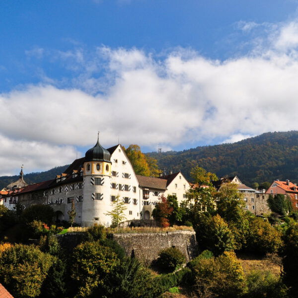 Südlicher Blick auf die Stadtmauern der Bregenzer Oberstadt. Foto: Norman und Lisa