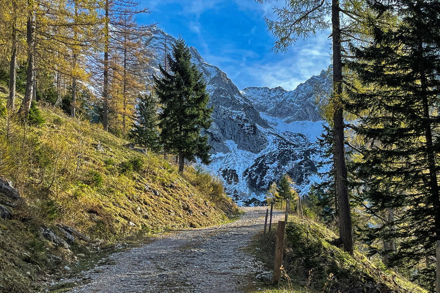 Schon fast auf der Gowilalm. Foto: Eva Maria Ginal