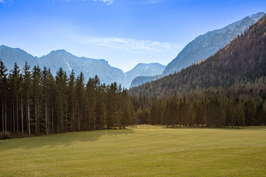 Weidewiese rund um das Polsterstüberl. Foto: Eva Maria Ginal