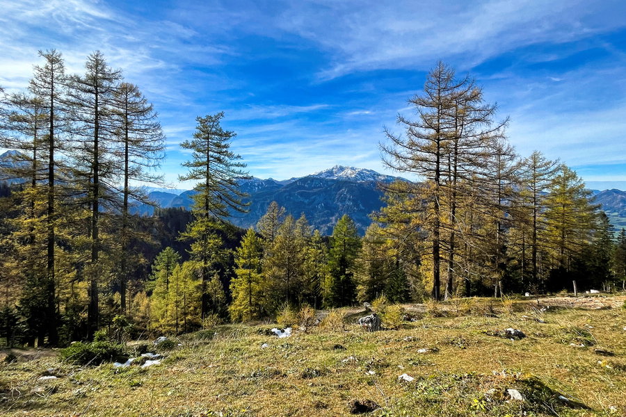 Mein Jausen Platzl auf der Gowilalm. Foto: Eva Maria Ginal