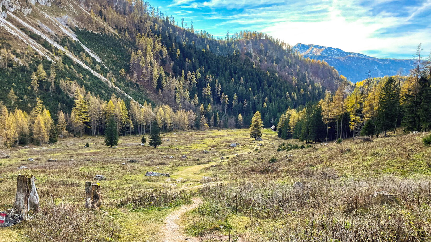 Über die weitläufige Holzeralm. Foto: Eva Maria Ginal