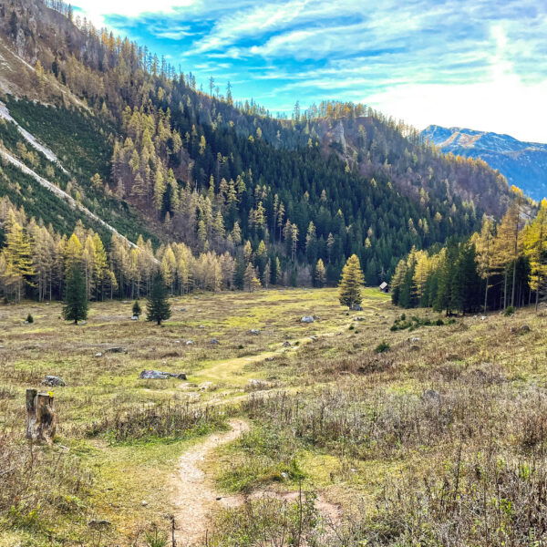 Über die weitläufige Holzeralm. Foto: Eva Maria Ginal