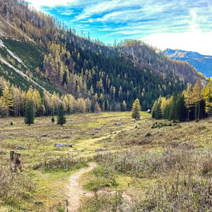 Auf zur Gowilalm – mit Bahn, Bus und Wanderlust