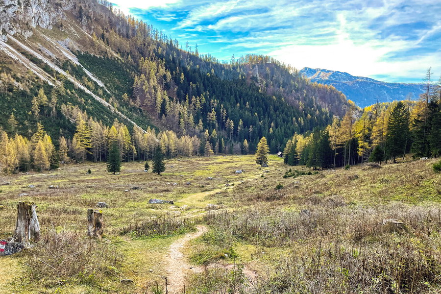 Über die weitläufige Holzeralm. Foto: Eva Maria Ginal