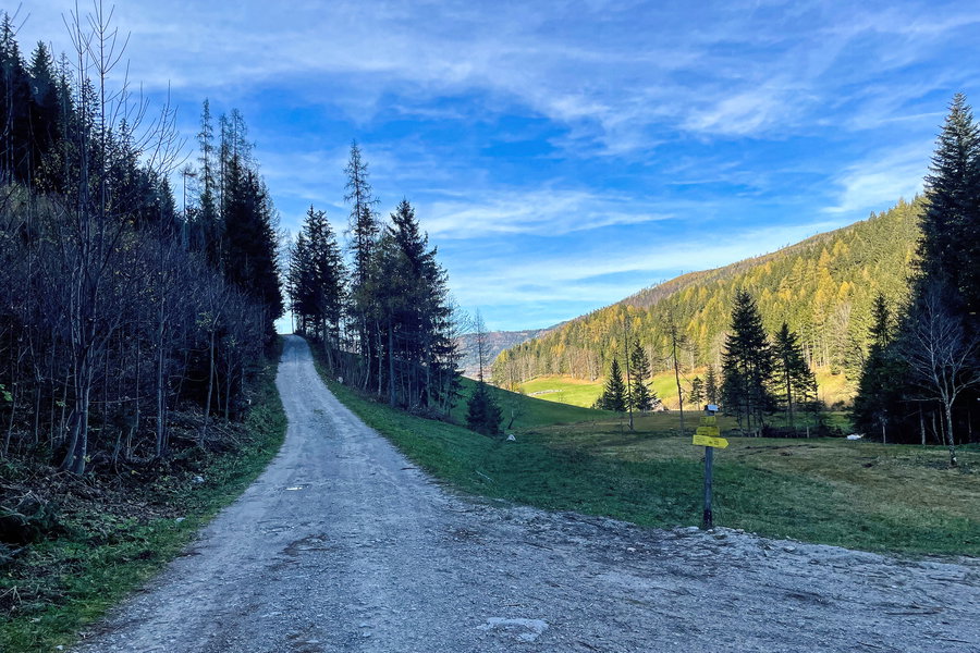 Geradewegs weiter nach Spital am Pyhrn. Foto: Eva Maria Ginal