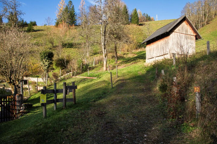 Rauf auf den Geislitzkogel 1. Foto: Eva Maria Ginal