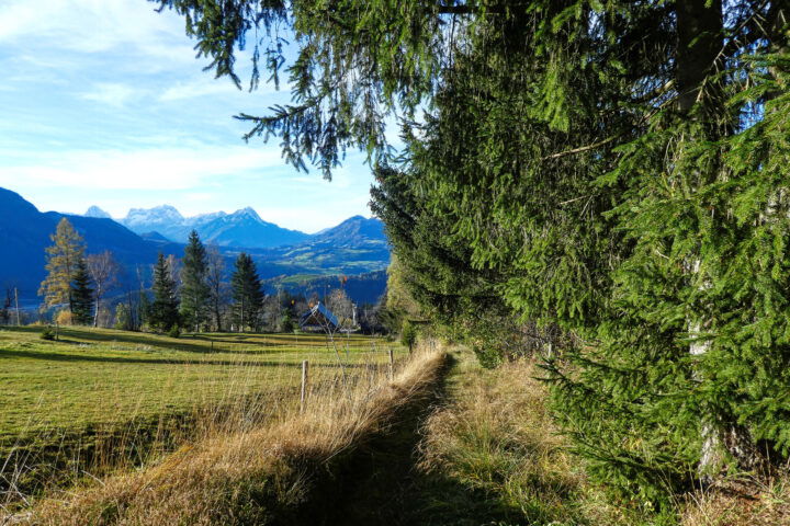 Abschnitt Wiesenweg nach Spital am Pyhrn. Foto: Eva Maria Ginal